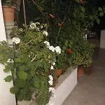Apartman Vidovic Viganj