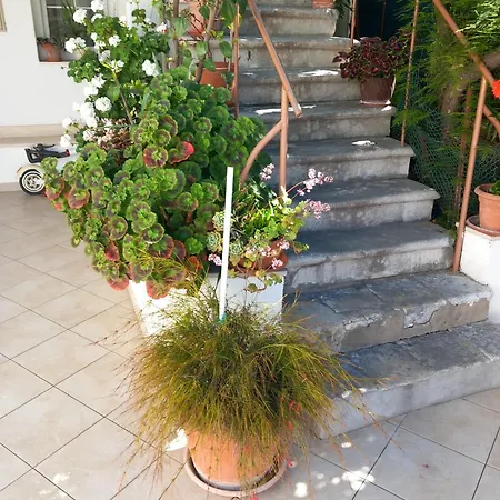 Vidovic Apartamento Viganj