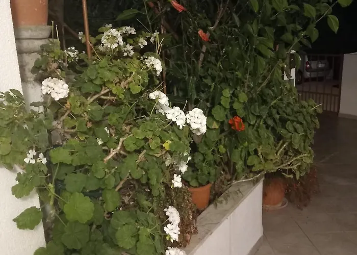 Apartamento Vidovic Viganj