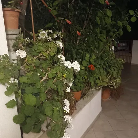 Appartement Vidovic Viganj